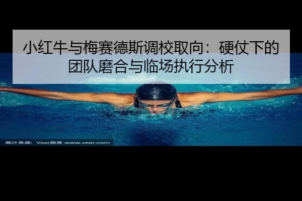 小红牛与梅赛德斯调校取向：硬仗下的团队磨合与临场执行分析